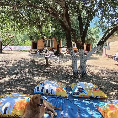 Luxury tent Es&es Camping Ve Bungalov